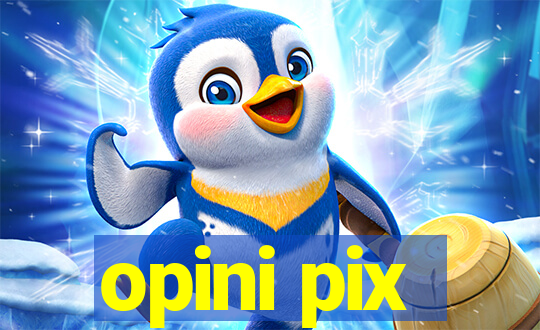 opini pix